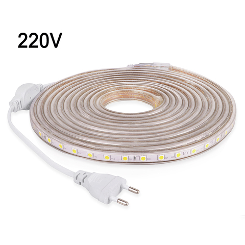 Ruban lumineux à bande de LED, étanche à la bande diode LED à ca 220 V SMD 220 ruban à bande de LED Flexible avec prise EU 60 s/m pour le ruban néon du salon ► Photo 1/6
