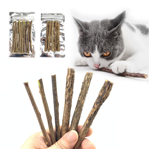 Bâtonnets molaires de nettoyage des dents à plantes naturelles, bâtons snack de chat, Fruit Actinidia, fournitures pour le nettoyage des dents des animaux de compagnie ► Photo 1/6