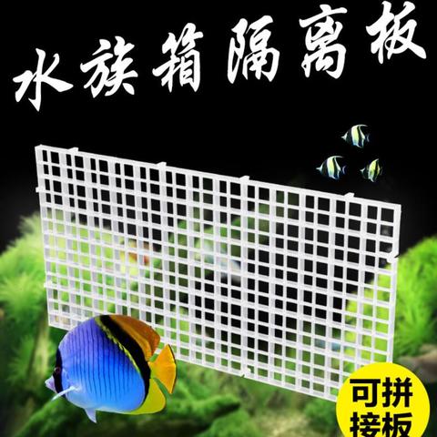 Nouveau filtre d'aquarium fond isolat volet poisson Durable en plastique cloison grille poisson grille diviseur support Net ► Photo 1/6