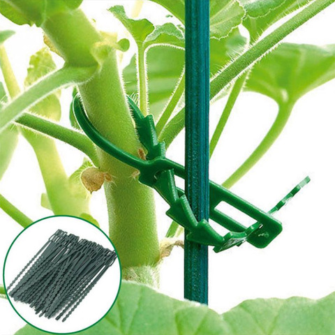 50 pièces/ensemble en plastique réglable auto verrouillage jardin arbre escalade Support réutilisable 17x0.7cm plante câble cravates outils de jardin ► Photo 1/1