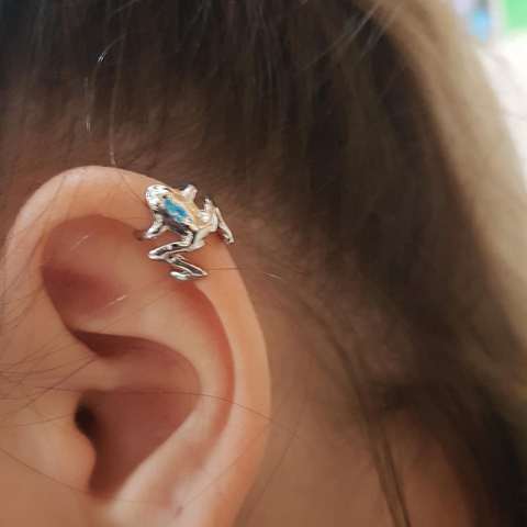 2022 mode grenouille oreille manchettes argent oreille manchette pince boucles d'oreilles pour femmes Earcuff pas Piercing faux Cartilage boucles d'oreilles ► Photo 1/6