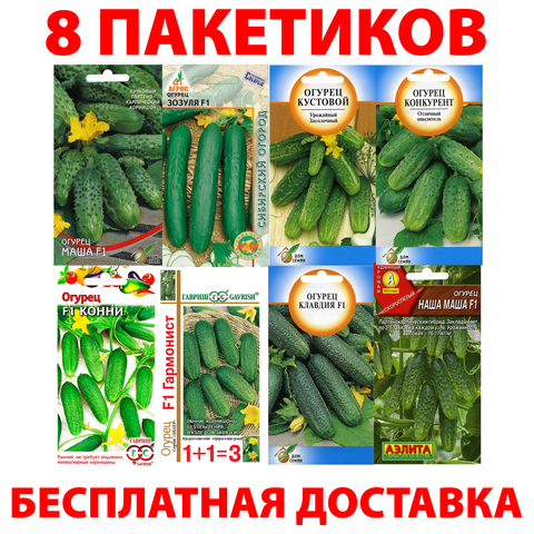 Graines de concombre et légumes, Set n ° 29 ► Photo 1/1