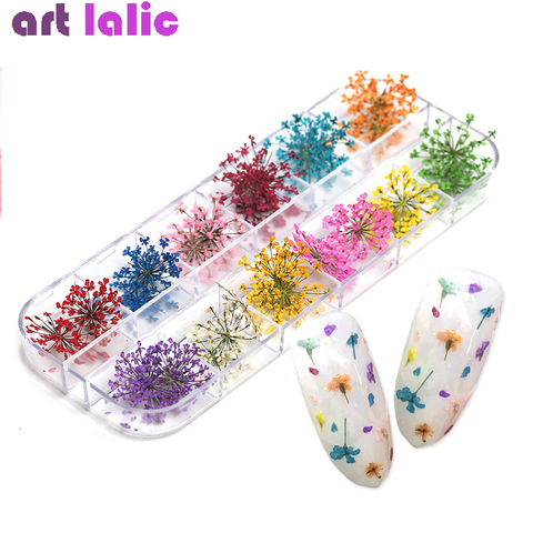 36 pièces 12 couleurs 3D fleurs sèches vraie fleur séchée Nail Art décoration conseils bricolage outils de manucure avec boîte ► Photo 1/5