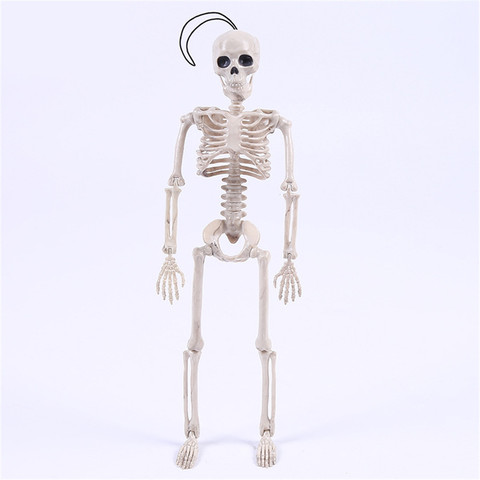 Модель скелета 40 см, оптовая продажа, помощь при обучении, анатомии, художественный скетч, Хэллоуин, гибкая анатомическая кость человека ► Фото 1/6