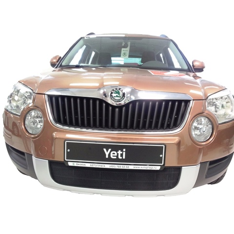 Защитная сетка на решетку радиатора Skoda Yeti (I) 2009-2013 г.в. ► Фото 1/2