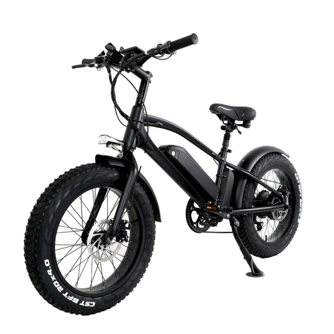 Электрический велосипед T20, горный электрический велосипед с толстыми шинами, 7 скоростей, для взрослых и мужчин, 20 дюймов, алюминиевая рама, 750 Вт 48 В 20 Ач ► Фото 1/6