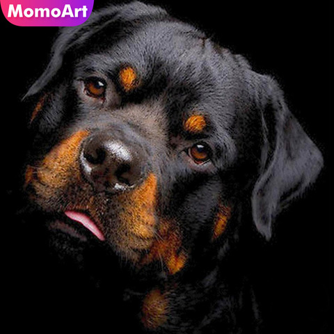MomoArt 5D DIY Алмазная картина Ротвейлер полностью квадратная Алмазная вышивка собака мозаика картина Стразы в подарок ► Фото 1/6