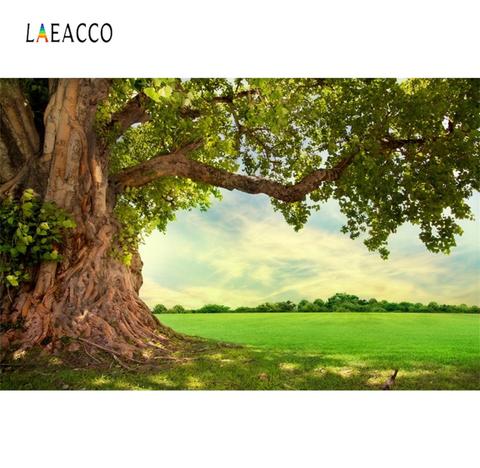 Laeacco весеннее Старое дерево зеленая трава заполненная естественная живописная фотография фоны для фотографий фоны для фотостудии ► Фото 1/6