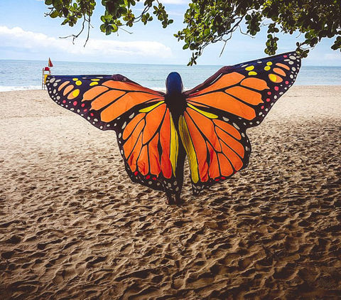 Женская накидка для танца живота с крыльями монарха и бабочками, 2 размера ► Фото 1/6