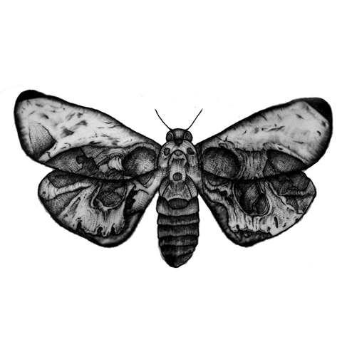 Временная татуировка Moths для мужчин, водонепроницаемая татуировка на рукавах и плечах, Харадзюку, хна ► Фото 1/2