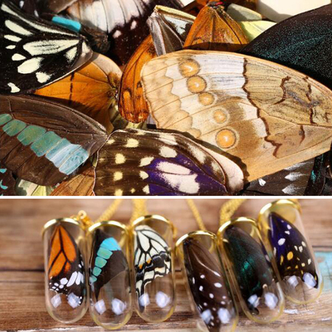 20 шт. настоящие крылья-бабочки, 3D Крылья-образцы бабочек, настоящие сушеные крылья-бабочки для колец/серег/ожерелья ► Фото 1/1