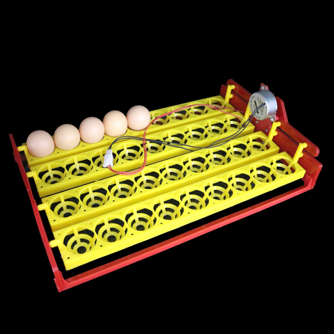 Автоматический инкубатор 36 яиц, автоматический инкубатор, поворот яиц, инкубационный эксперимент, учебное оборудование, 4*9 отверстий ► Фото 1/6