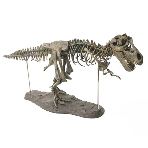 70 см динозавр 4D Собранный костный Дракон детская игрушка тираннозавр ископаемый скелет Имитация животных обучающая Модель Декор ► Фото 1/5