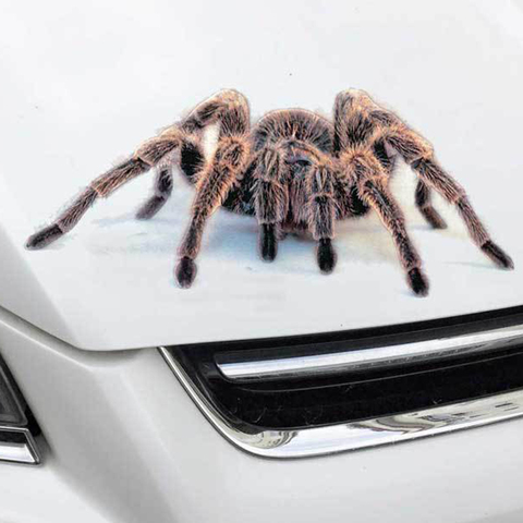 3D стикер в виде паука для автомобиля, яркие наклейки в виде животных с изображением скорпиона, ящерицы, забавные наклейки с полосками для ав... ► Фото 1/5
