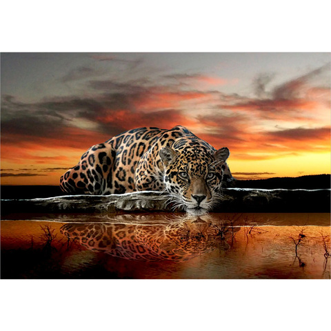 Алмазная 5D картина «леопард и тигр», Набор для вышивки крестиком, полная выкладка, мозаика, картина Стразы для домашнего декора ► Фото 1/6
