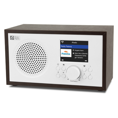 Wi-Fi Интернет-радиоприемники WR100F, FM, цифровое радио с Bluetooth динамиком и функцией сна, Aux in, 26000 + станций, цветной дисплей 2,4 дюйма ► Фото 1/5