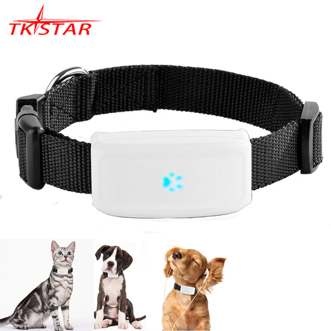 GPS-трекер для домашних животных TK911, 2G, GSM, GPS-локатор TKSTAR, мини GPS-трекер для домашних животных 2G GSM, лучший GPS-трекер для собак с бесплатным приложением, водонепроницаемый IP67 ► Фото 1/6