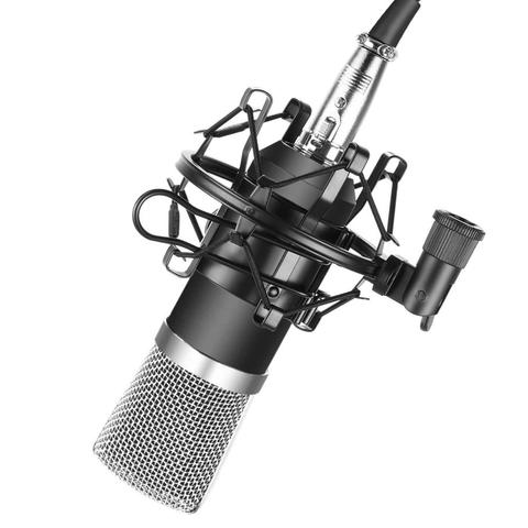 Кардиоидный конденсаторный микрофон для студийной записи микрофон двухмембранная капсула вещания боковой адрес голосовой микрофон ► Фото 1/6