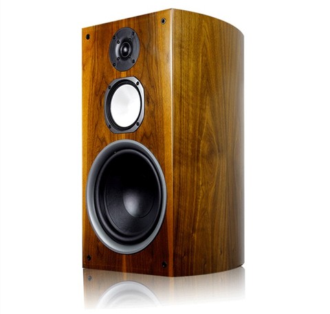 M-009 Hi-Fi книжная полка 10 дюймов колонки Пара домашнего пола аудио 10-дюймовый бас пассивный трехполосный ► Фото 1/4